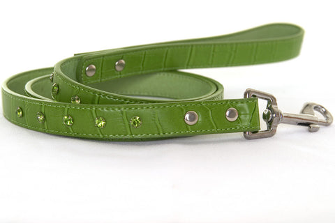 Crocodile Rocks Lead