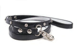 Night Dog Lead