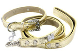 Dollar Collar & Lead Set