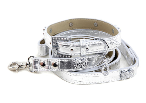 Platinum Collar & Lead Set