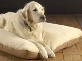 Supersoft Snuggle Dog Bed - Small