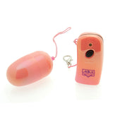 Remote Controlled Vibrating Egg